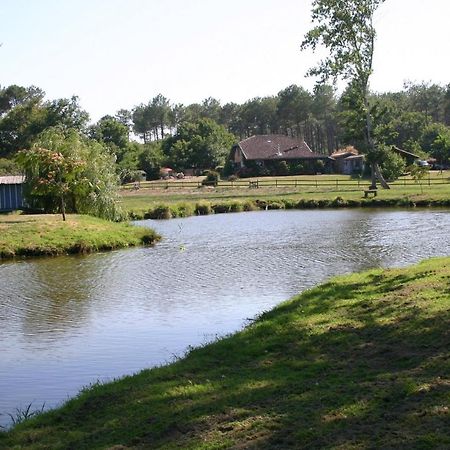 Gite 4Kms Plage Grand Domaine Prive Lacs Natura 2000 ลิต์-เอต์-มิกซ์ ภายนอก รูปภาพ